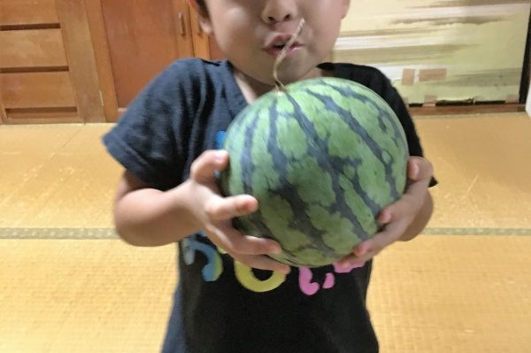 すいか🍉